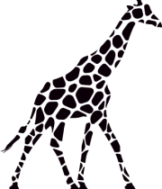 girafe---Fond-transparen--noir